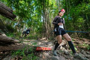 BIB: 
                            <button type="button" onclick="openModal(19389857)" class="btn btn-primary btn-sm float-right btn-popup" data-toggle="modal" data-target=".modal-high-quality">
                        <i class="fas fa-shopping-cart"></i> Add to Cart
                    </button>
                                            <button type="button" onclick="isThisMe(19389857, true)" class="btn btn-success btn-sm float-right btn-popup btn-isme hidden" data-toggle="tooltip" data-placement="bottom" title="นี่คือรูปของคุณใช่ไหม คลิกที่นี่เพื่อเอาเข้าอัลบั้ม">
                        <i class="fas fa-plus"></i> Add to album
                    </button>
                    <button type="button" onclick="isThisMe(19389857, false)" class="btn btn-warning btn-sm float-right btn-popup btn-isnotme hidden">
                        <i class="fas fa-ban"></i> Remove from album
                    </button>